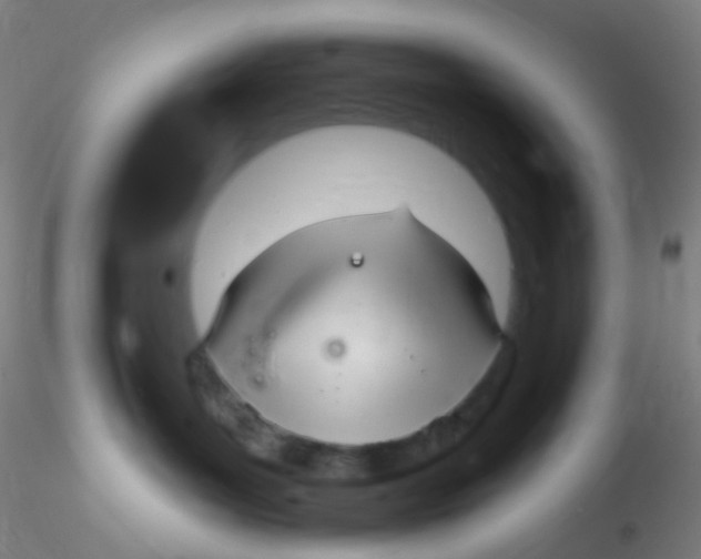 X0000115220143200911251539