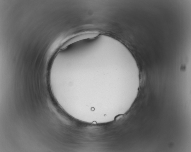 X0000115220150200911251539