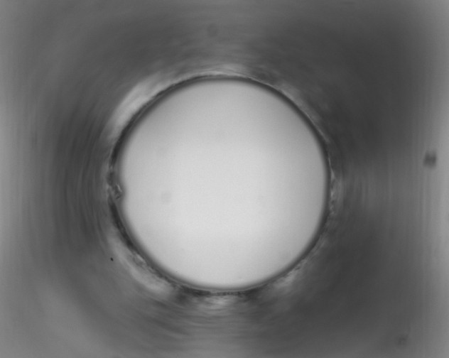 X0000115220151200911251539