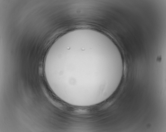 X0000115220157200911251539