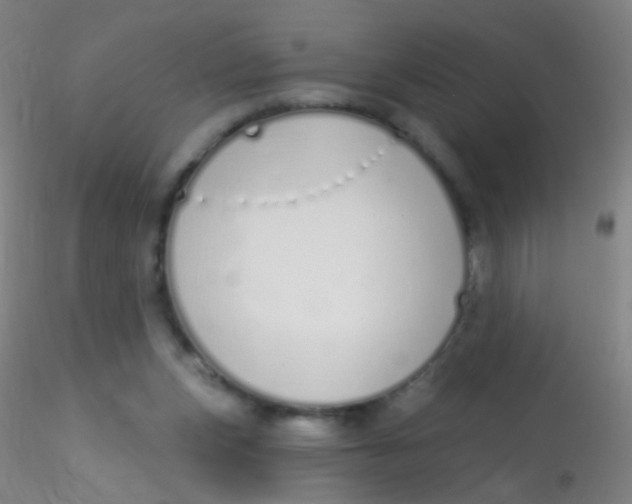 X0000115220159200911251539