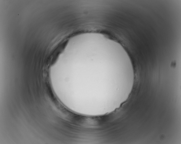 X0000115220166200911251539