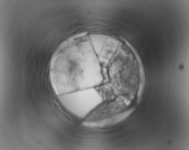X0000115220177200911251539