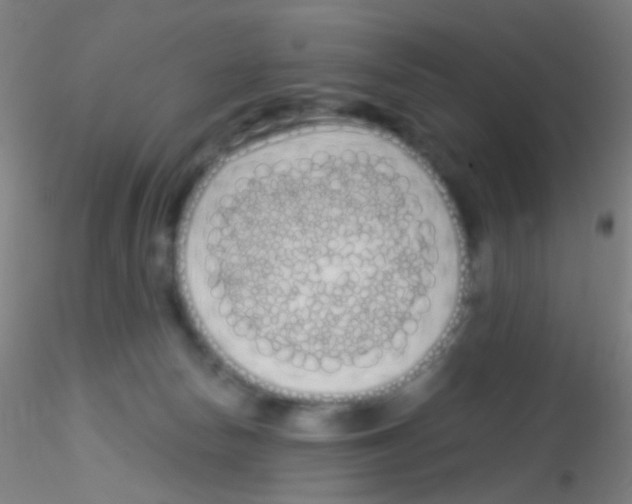X0000115220178200911251539
