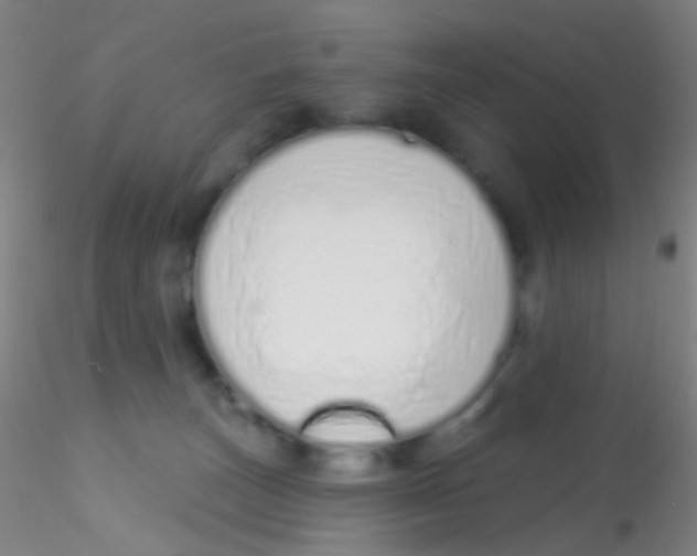 X0000115220179200911251539