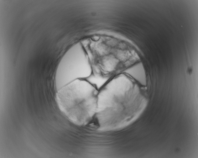 X0000115220181200911251539