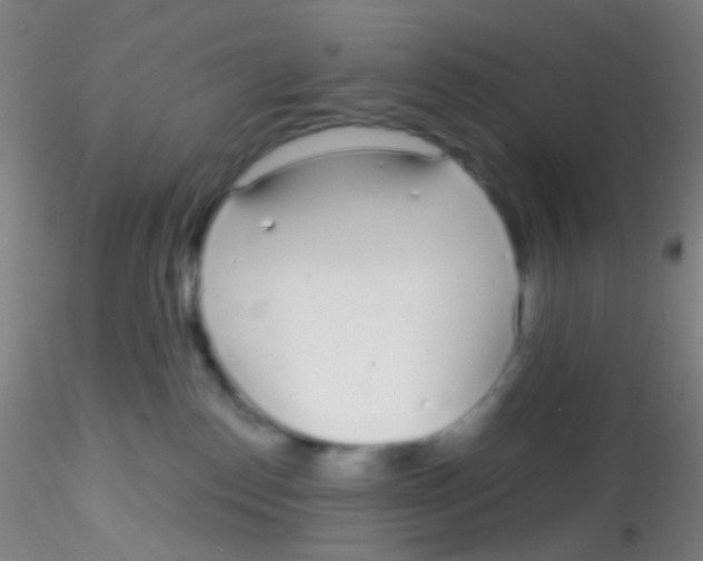 X0000115220186200911251539