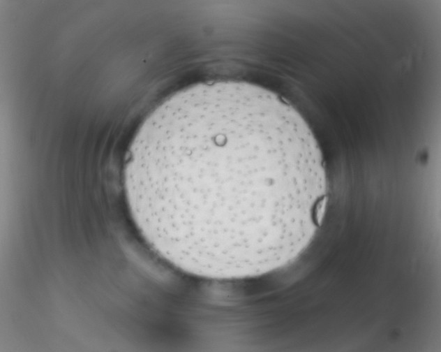 X0000115220187200911251539