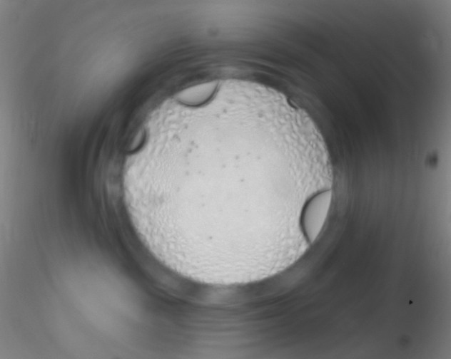 X0000115220189200911251539