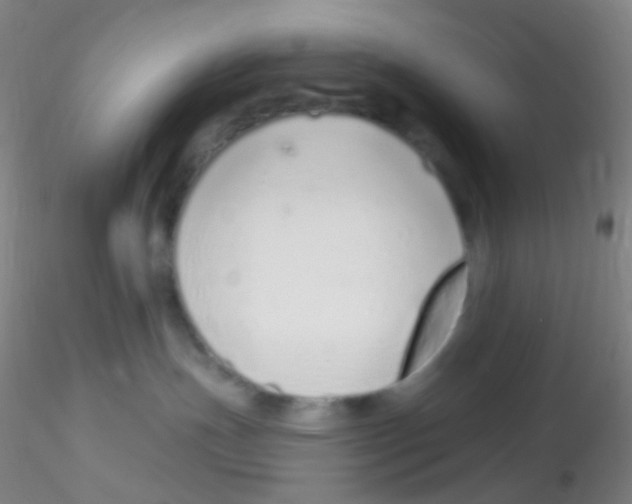 X0000115220191200911251539