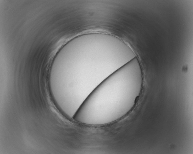 X0000115220193200911251539