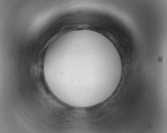 X0000115220194200911251539