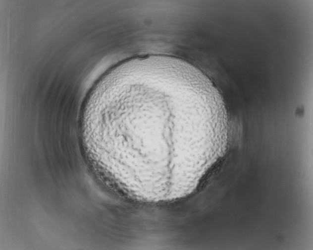 X0000115220195200911251539