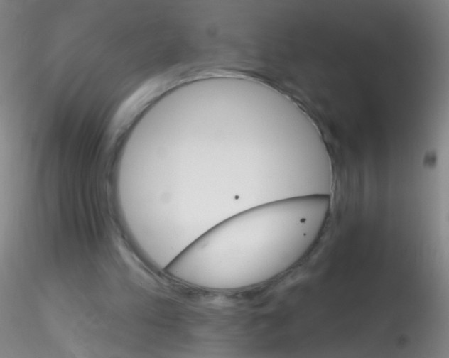 X0000115220197200911251539
