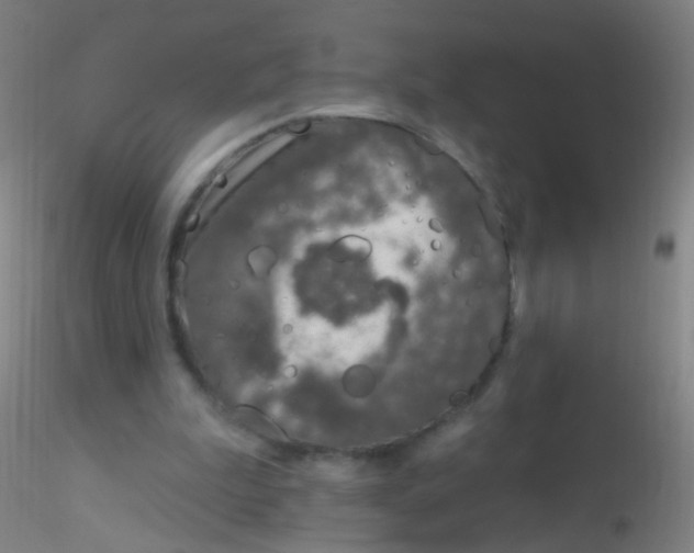 X0000115220199200911251539