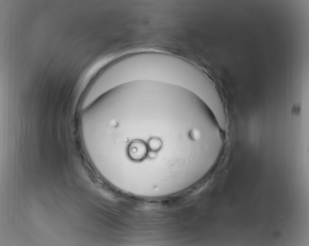 X0000115220200200911251539