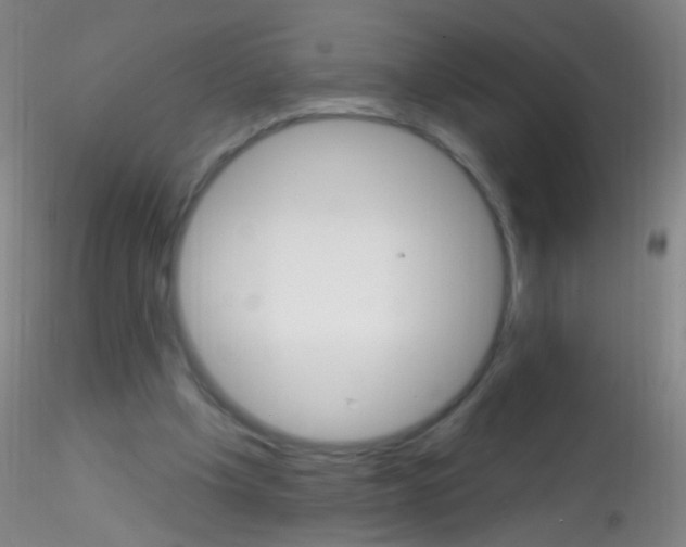 X0000115220201200911251539