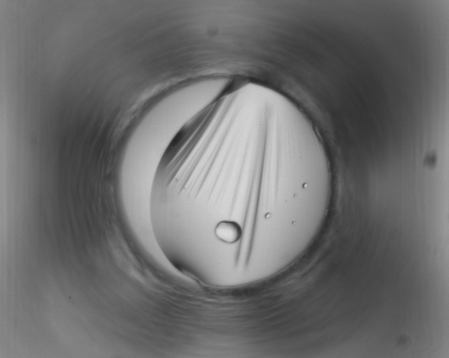 X0000115220203200911251538