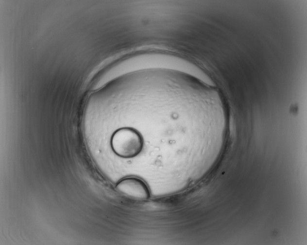 X0000115220204200911251538