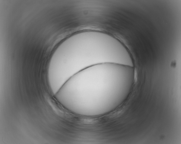 X0000115220205200911251538
