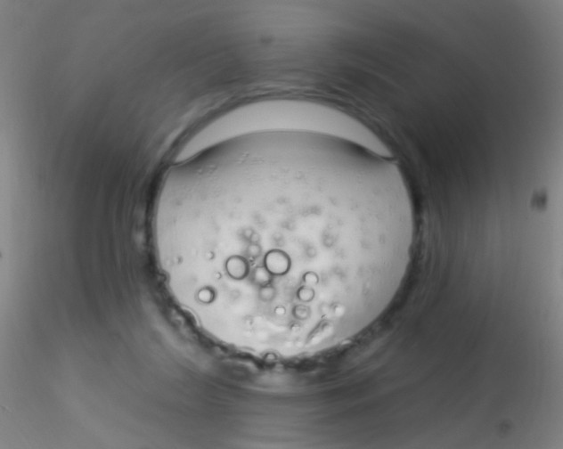 X0000115220212200911251538