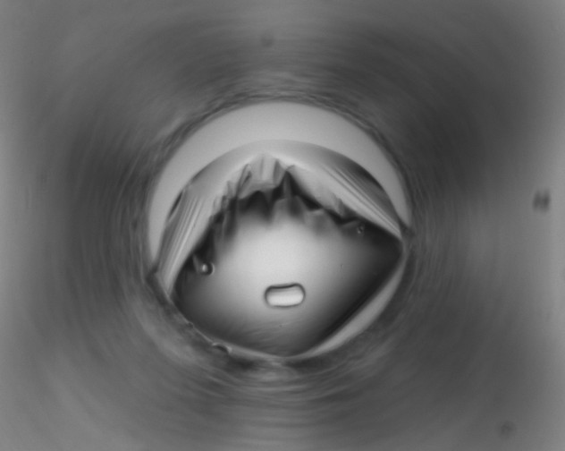 X0000115220215200911251538