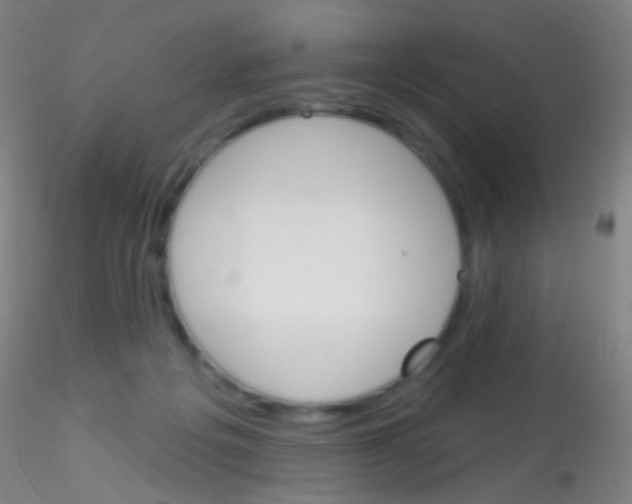 X0000115220217200911251538
