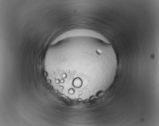 X0000115220220200911251538