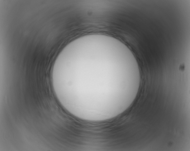 X0000115220221200911251538