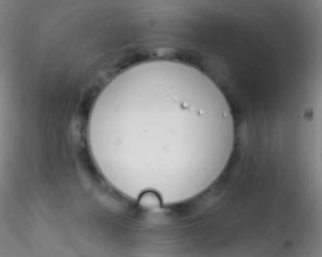 X0000115220222200911251538