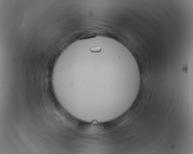 X0000115220223200911251538