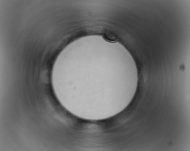 X0000115220224200911251538