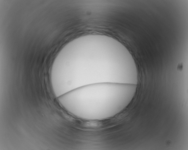 X0000115220225200911251538