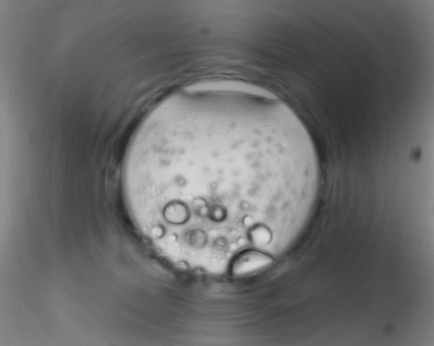 X0000115220228200911251538