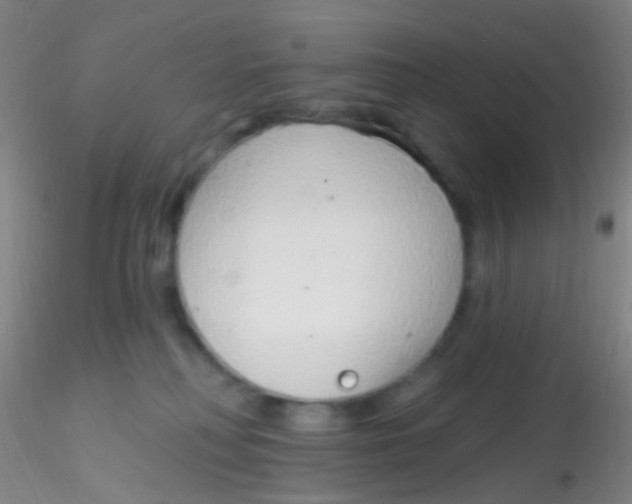 X0000115220230200911251538