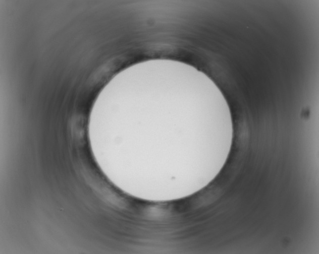 X0000115220232200911251538