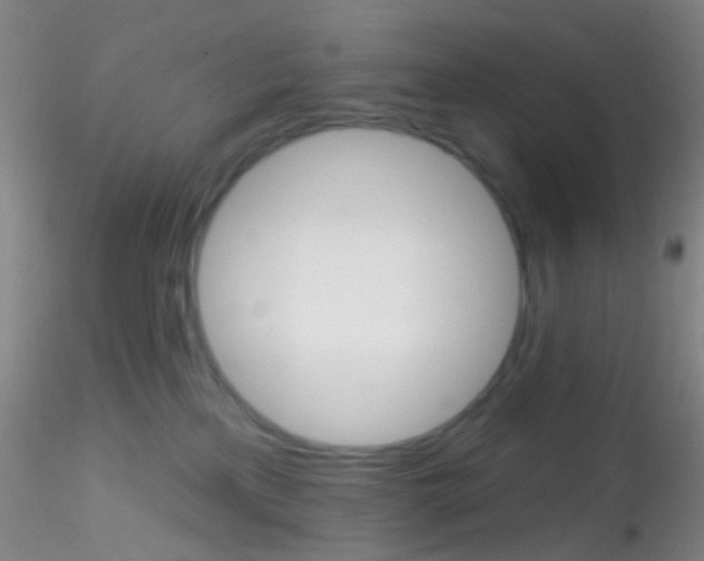 X0000115220233200911251538