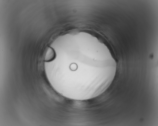 X0000115220234200911251538