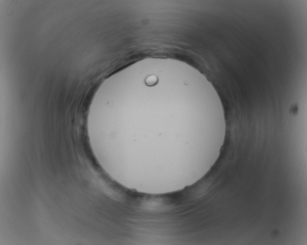 X0000115220235200911251538