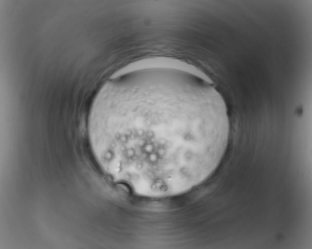X0000115220236200911251538