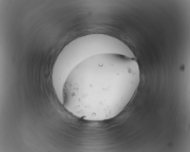 X0000115220237200911251538