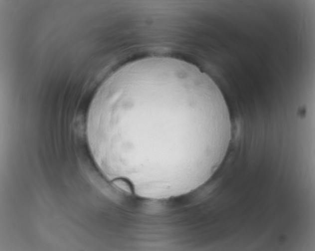 X0000115220238200911251538