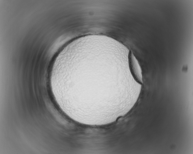 X0000115220242200911251537