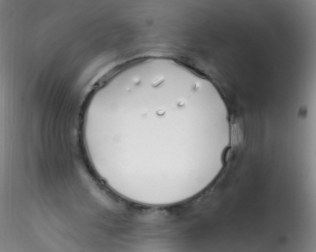 X0000115220243200911251537