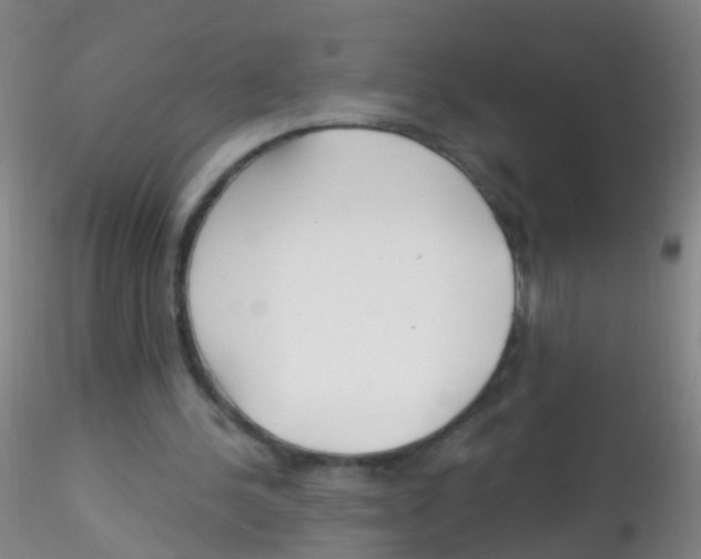 X0000115220244200911251537