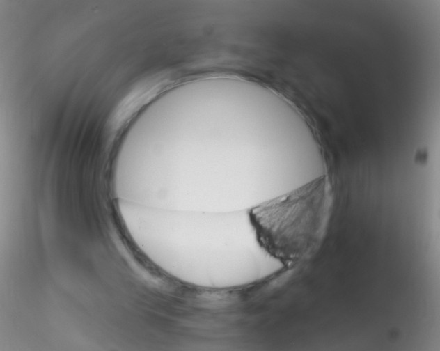X0000115220245200911251537