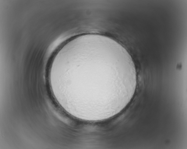 X0000115220246200911251537
