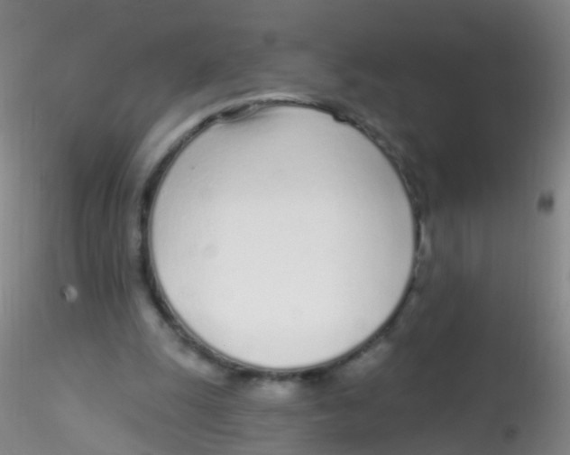 X0000115220247200911251537