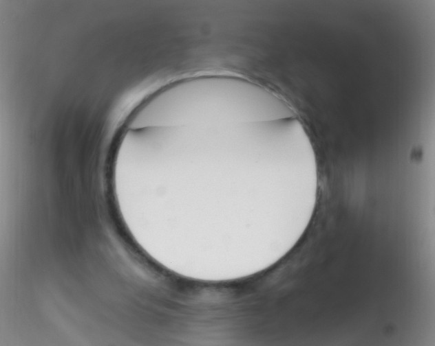 X0000115220248200911251537
