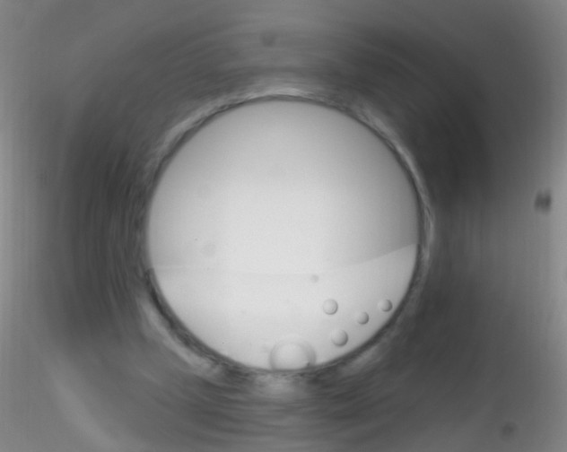 X0000115220249200911251537